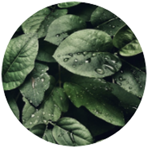 Respect for nature in production processes